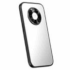 For Huawei Mate 40 R-JUST RJ-61 Electroplating Frosted TPU + PC Phone Case(Silver) - 1