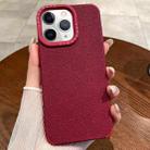For iPhone 11 Pro Max Creative Lunar Craters TPU Full Coverage Shockproof Phone Case(Red) - 1