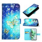 For OPPO Reno11 5G Global 3D Painting Horizontal Flip Leather Phone Case(Golden Butterfly) - 1