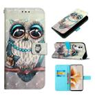 For OPPO Reno11 Pro 5G Global 3D Painting Horizontal Flip Leather Phone Case(Grey Owl) - 1