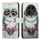 For OPPO A2 Pro 5G  / A3 Pro 5G 3D Painting Horizontal Flip Leather Phone Case(Grey Owl) - 1