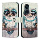 For OPPO A1 Pro 5G / Reno8 T 5G Global 3D Painting Horizontal Flip Leather Phone Case(Grey Owl) - 2