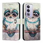 For OPPO A3 Pro 5G Global 3D Painting Horizontal Flip Leather Phone Case(Grey Owl) - 2