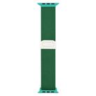 For Apple Watch Series 10 46mm Carbon Fiber Texture Snap Buckle Nylon Watch Band(Green) - 3