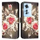 For OPPO F25 Pro 5G India Colored Drawing Pattern Plain Weave Leather Phone Case(Roses On Black) - 1