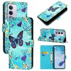 For OPPO A3 Pro 5G Global Colored Drawing Pattern Plain Weave Leather Phone Case(Caring Butterfly) - 1