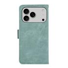 For iPhone 17 Pro Max ABEEL Frosted Magnetic RFID Leather Phone Case(Cyan) - 3
