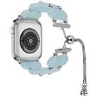 For Apple Watch SE 2023 44mm Resin Retractable Chain Watch Band(Ice Blue) - 1