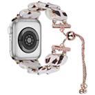 For Apple Watch Series 6 44mm Resin Retractable Chain Watch Band(Nougat) - 1