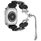 For Apple Watch 42mm Resin Retractable Chain Watch Band(Black) - 1