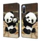For Sony Xperia 10 V Crystal Painted Leather Phone case(Panda) - 1