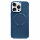 For iPhone 15 Pro Max 2 in 1 MagSafe Magnetic Silicone Leather Phone Case(Blue) - 1