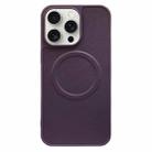 For iPhone 15 Pro Max 2 in 1 MagSafe Magnetic Silicone Leather Phone Case(Purple) - 1