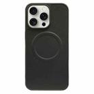 For iPhone 15 Pro Max 2 in 1 MagSafe Magnetic Silicone Leather Phone Case(Black) - 1