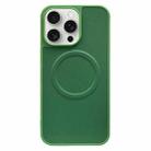 For iPhone 15 Pro Max 2 in 1 MagSafe Magnetic Silicone Leather Phone Case(Green) - 1