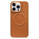 For iPhone 15 Pro 2 in 1 MagSafe Magnetic Silicone Leather Phone Case(Brown) - 1