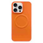 For iPhone 15 Pro 2 in 1 MagSafe Magnetic Silicone Leather Phone Case(Orange) - 1