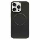 For iPhone 15 Pro 2 in 1 MagSafe Magnetic Silicone Leather Phone Case(Black) - 1