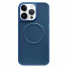 For iPhone 14 Pro 2 in 1 MagSafe Magnetic Silicone Leather Phone Case(Blue) - 1