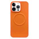 For iPhone 14 Pro 2 in 1 MagSafe Magnetic Silicone Leather Phone Case(Orange) - 1