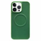 For iPhone 14 Pro 2 in 1 MagSafe Magnetic Silicone Leather Phone Case(Green) - 1