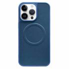 For iPhone 14 Pro Max 2 in 1 MagSafe Magnetic Silicone Leather Phone Case(Blue) - 1