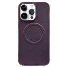 For iPhone 13 Pro Max 2 in 1 MagSafe Magnetic Silicone Leather Phone Case(Purple) - 1