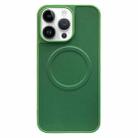For iPhone 13 Pro Max 2 in 1 MagSafe Magnetic Silicone Leather Phone Case(Green) - 1