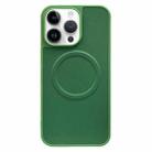 For iPhone 13 Pro 2 in 1 MagSafe Magnetic Silicone Leather Phone Case(Green) - 1