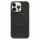 For iPhone 12 Pro 2 in 1 MagSafe Magnetic Silicone Leather Phone Case(Black) - 1