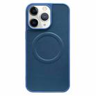 For iPhone 11 Pro 2 in 1 MagSafe Magnetic Silicone Leather Phone Case(Blue) - 1