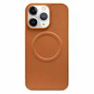 For iPhone 11 Pro 2 in 1 MagSafe Magnetic Silicone Leather Phone Case(Brown) - 1