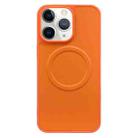 For iPhone 11 Pro 2 in 1 MagSafe Magnetic Silicone Leather Phone Case(Orange) - 1