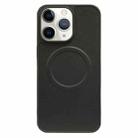 For iPhone 11 Pro 2 in 1 MagSafe Magnetic Silicone Leather Phone Case(Black) - 1