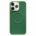 For iPhone 11 Pro 2 in 1 MagSafe Magnetic Silicone Leather Phone Case(Green) - 1