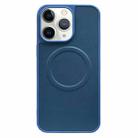 For iPhone 11 Pro Max 2 in 1 MagSafe Magnetic Silicone Leather Phone Case(Blue) - 1