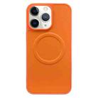 For iPhone 11 Pro Max 2 in 1 MagSafe Magnetic Silicone Leather Phone Case(Orange) - 1
