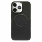 For iPhone 11 Pro Max 2 in 1 MagSafe Magnetic Silicone Leather Phone Case(Black) - 1