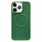 For iPhone 11 Pro Max 2 in 1 MagSafe Magnetic Silicone Leather Phone Case(Green) - 1
