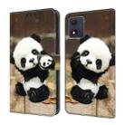 For Motorola Moto E13 Crystal Painted Leather Phone case(Panda) - 1