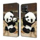 For Motorola Moto G Stylus 5G 2022 Crystal Painted Leather Phone case(Panda) - 1