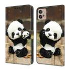 For Motorola Moto G10/G20/G30 Crystal Painted Leather Phone case(Panda) - 1