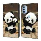 For Motorola Moto G31/G41 Crystal Painted Leather Phone case(Panda) - 1