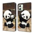 For Motorola Moto G54 Crystal Painted Leather Phone case(Panda) - 1