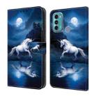 For Motorola Moto G60/G40 Fusion Crystal Painted Leather Phone case(White Horse) - 1