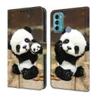 For Motorola Moto G60/G40 Fusion Crystal Painted Leather Phone case(Panda) - 1