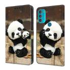 For Motorola Moto G71 5G Crystal Painted Leather Phone case(Panda) - 1