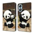 For OPPO A17 Crystal Painted Leather Phone case(Panda) - 1