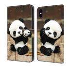 For iPhone XS Max Crystal Painted Leather Phone case(Panda) - 1