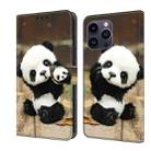 For iPhone 14 Pro Max Crystal Painted Leather Phone case(Panda) - 1